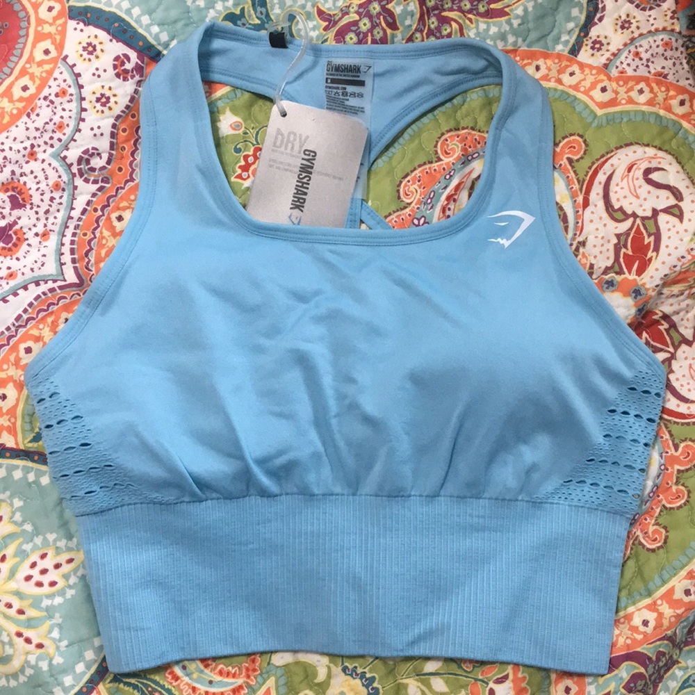 Energy Seamless Crop Top-Sky Blue-Medium